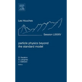 Particle Physics Beyond the Standard Model: Lecture Notes of the Les Houches Summer School 2005 Volume 84