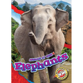 Elephants