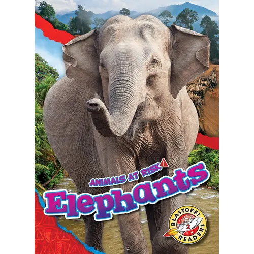 Elephants