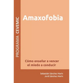 Amaxofobia: Cómo enseñar a vencer el miedo a conducir