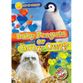 Baby Penguin or Baby Owl?