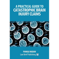 A Practical Guide to Catastrophic Brain Injury Claims
