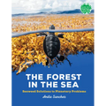 The Forest in the Sea: Seaweed Solutions to Planetary Problems