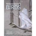 Yellowstone's Birds: Diversity and Abundance in the World's First National Park