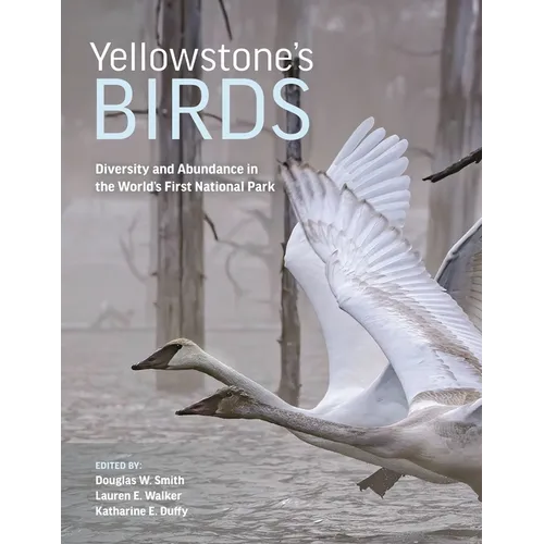 Yellowstone's Birds: Diversity and Abundance in the World's First National Park