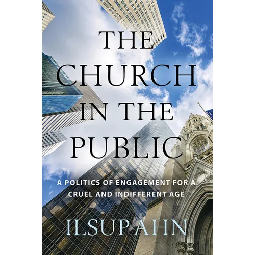 The Church in the Public: A Politics of Engagement for a Cruel and Indifferent Age
