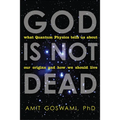God Is Not Dead: What Quantum Physics Tells Us about Our Origins and How We Should Live