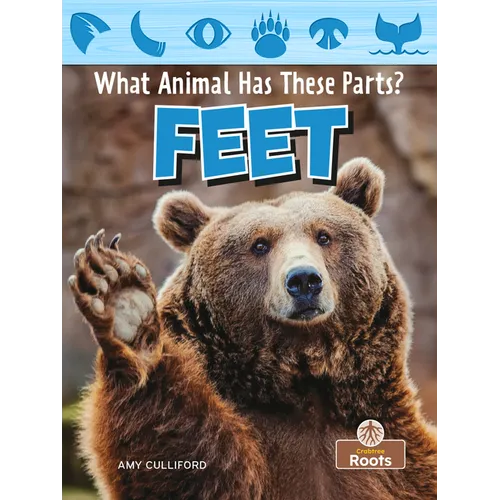 Feet