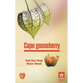 Cape gooseberry