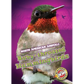 Ruby-Throated Hummingbirds