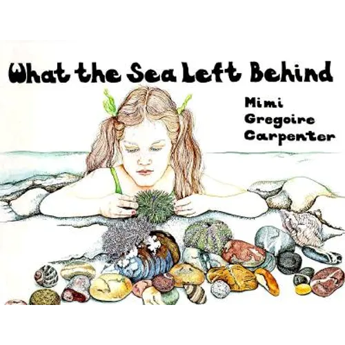 What the Sea Left Behind
