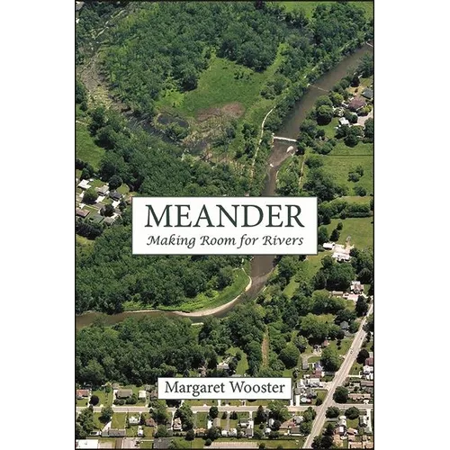 Meander: Making Room for Rivers