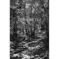 Просветы