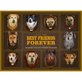 Best Friends Forever: The Greatest Collection of Taxidermy Dogs on Earth