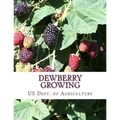 Dewberry Growing: Farmers' Bulletin 1403