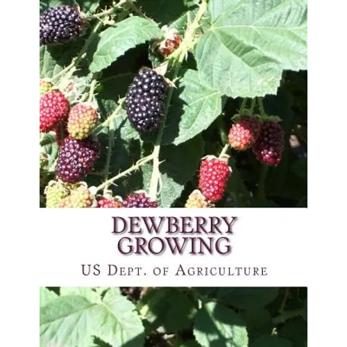 Dewberry Growing: Farmers' Bulletin 1403