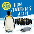 How Animals Adapt