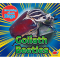 Goliath Beetles