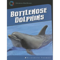 Bottlenose Dolphins