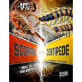 Scorpion vs. Centipede: Duel to the Death