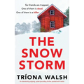 The Snowstorm: An absolutely gripping, pulse-pounding thriller packed with twists