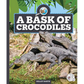 A Bask of Crocodiles