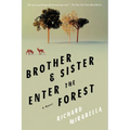 Brother & Sister Enter the Forest