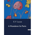 A Wanderer In Paris