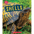 Shells (Learn About: Animal Coverings)