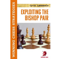 Exploiting the Bishop Pair: Winning Chess Strategies