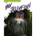 Box Jellyfish