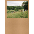 Widening the Lens: Photography, Ecology, and the Contemporary Landscape