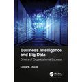 Business Intelligence and Big Data: Drivers of Organizational Success