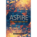 Aspire: Achieve What SMART Goals Can't