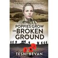 Poppies Grow on Broken Ground