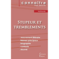 Fiche de lecture Stupeur et tremblements de Amélie Nothomb (analyse littéraire de référence et résumé complet)