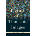 A Picture of a Thousand Images