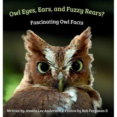 Owl Eyes, Ears, and Fluffy Rears? Fascinating Owl Facts