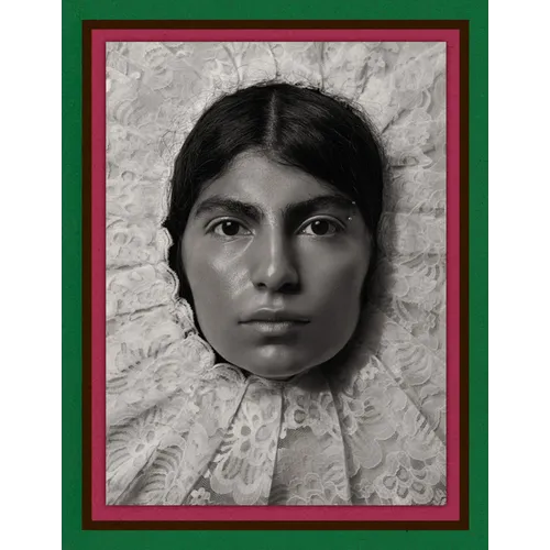 Pieter Henket: Birds of Mexico City