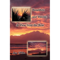 Snapshots and Visions: A View from the Now