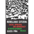 Rebellious Citizens: Social Upheaval and Democracy in Revolutionary Mexico