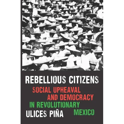 Rebellious Citizens: Social Upheaval and Democracy in Revolutionary Mexico