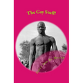 The Gay Stuff!