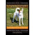 Smooth Fox Terrier Training Book for Smooth Fox Terrier Dogs & Puppies By D!G THIS DOG Training, Training Begins from the Car Ride Home, Smooth Fox Te