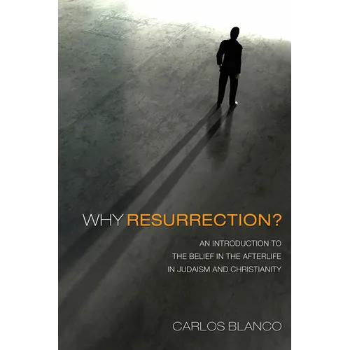 Why Resurrection?: An Introduction to the Belief in the Afterlife in Judaism and Christianity