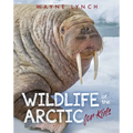 Wildlife of the Arctic for Kids