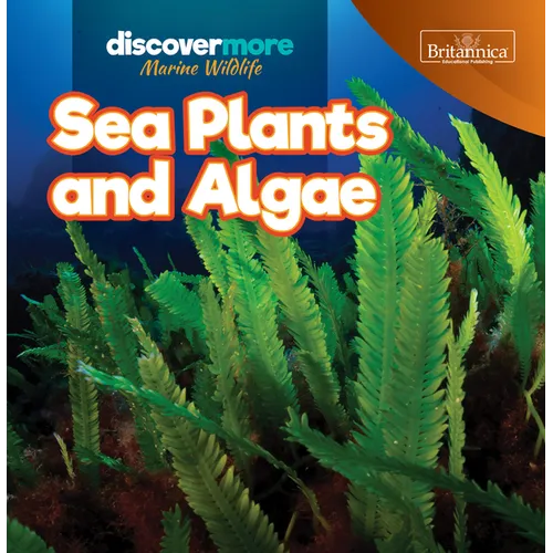 Sea Plants and Algae