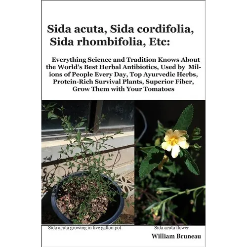 Sida acuta, Sida cordifolia, Sida rhombifolia, Etc.: Everything Science and Tradition Knows about the World's Best Herbal Antibiotics, Used by Million
