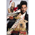Guarding Holly Grace: Brotherhood Protectors World