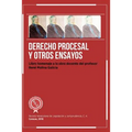 Derecho Procesal y otros ensayos: Libro homenaje a la obra docente del profesor René Molina Galicia